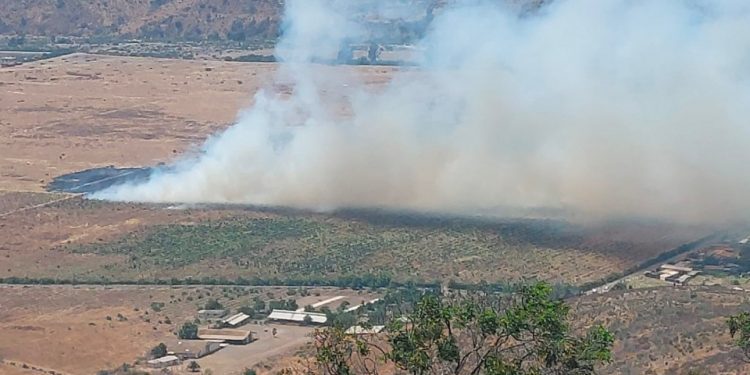 Decretan Alerta Roja y piden evacuar sectores en La Ligua por incendio forestal que ya consumido al menos 3 hectáreas