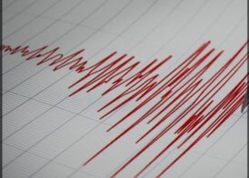 Sismo de 6,1 grados se percibe con fuerza en la zona norte del país