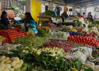Denuncian a Presidente Boric por fraude al fisco tras la fallida compra de la casa de Salvador Allende