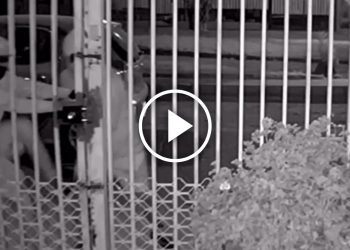 Matrimonio de adultos mayores sufre violento turbazo en Conchalí