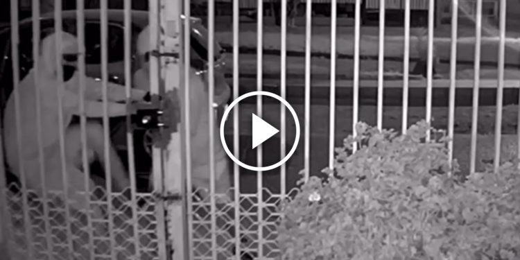 Matrimonio de adultos mayores sufre violento turbazo en Conchalí