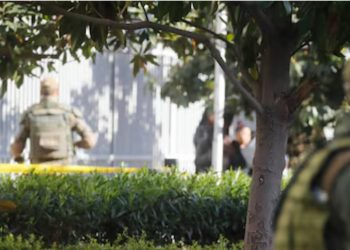 Abuela y nieto de cinco años son atacados por perros en su departamento de Conchalí