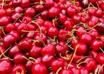 Se logra acuerdo por pensiones con una cotización de 8,5% a cargo del empleador y se mantienen las AFP