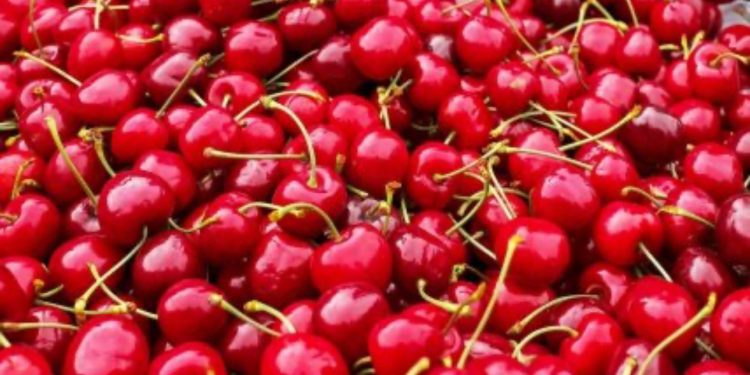 Se logra acuerdo por pensiones con una cotización de 8,5% a cargo del empleador y se mantienen las AFP