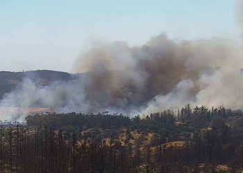 Carabineros investiga muerte de mujer que cayó desde gran altura en el Ministerio de Hacienda