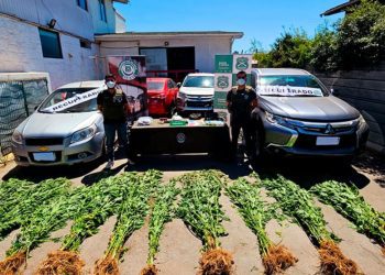 Recuperan dos vehículos con encargo por robo en Laguna Verde