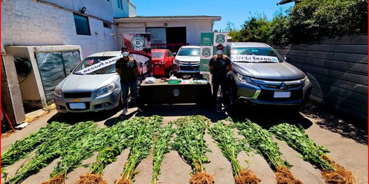 Recuperan dos vehículos con encargo por robo en Laguna Verde