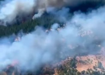 Un fallecido, otro herido, 7 viviendas afectadas y más de 10 hectáreas consumidas en la provincia de San Felipe