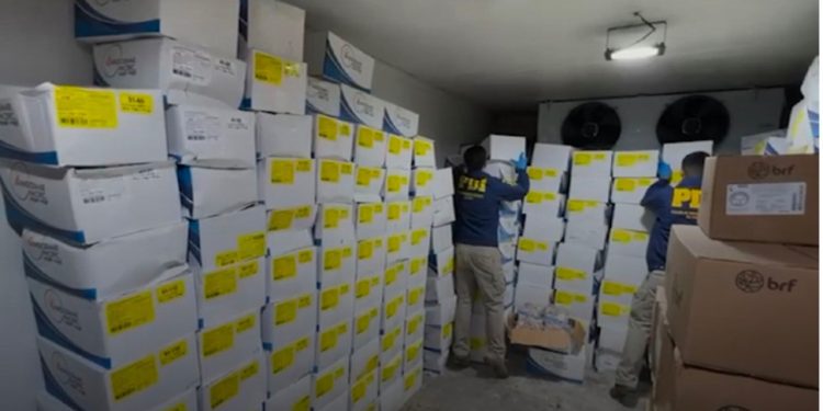 Desarticulan banda que robó ocho toneladas de camarones en Maipú