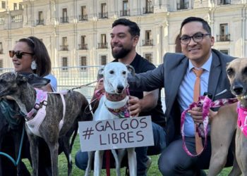 Aumentan a siete las víctimas de la tragedia por naufragio de San Juan de la Costa