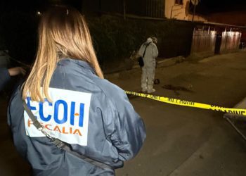 Queman bus e intentan saquear locales comerciales en Pudahuel