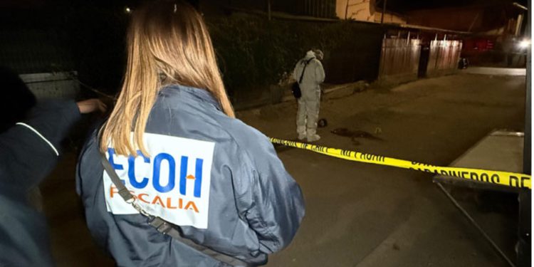 Queman bus e intentan saquear locales comerciales en Pudahuel