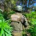 Encuentran casi 5 mil plantas de Marihuana en Pichilemu