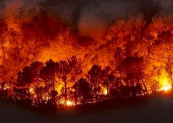 Casi 6 mil hectáreas consumidas por las llamas en La Araucanía y Collipulli