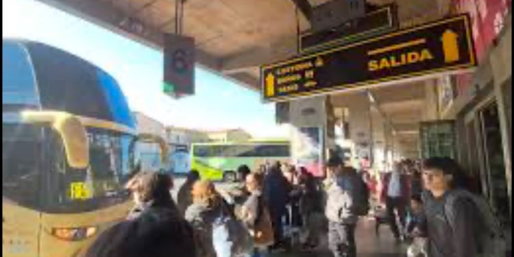 Usuarios y locatarios temen por seguridad en terminal de buses de Viña del Mar
