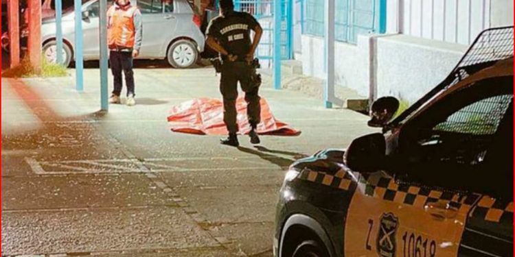 Detienen a modelo Denisse Campos por «amenazas de muerte y daños» en bar de Viña del Mar