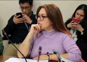 Diputada Bello exige acciones inmediatas ante el deterioro de la infraestructura vial en comunas del Distrito 6