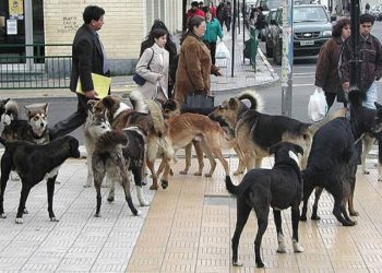 Dos hombres son asesinados a balazos en el centro de Santiago