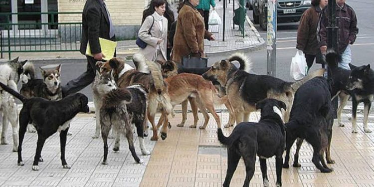 Dos hombres son asesinados a balazos en el centro de Santiago