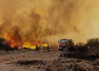 Declaran alerta roja en varias comunas de La Araucanía, Biobío y Los Ríos por gigantescos incendios forestales