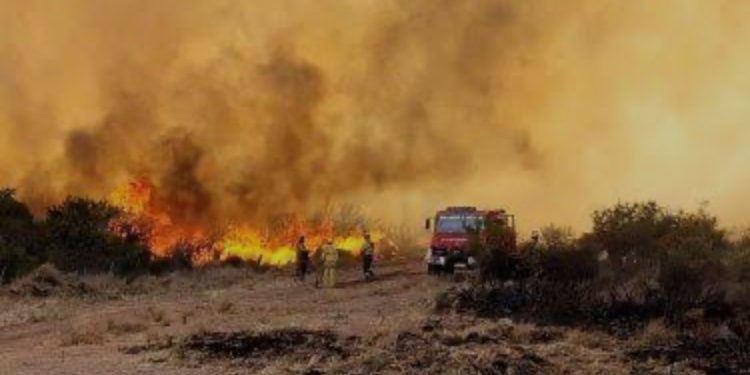 Declaran alerta roja en varias comunas de La Araucanía, Biobío y Los Ríos por gigantescos incendios forestales