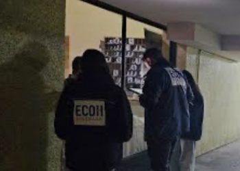 Un liceo destruido y decenas de viviendas quemadas deja saldo de gigantescos incendios en el sur