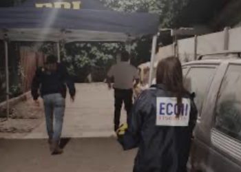 Un liceo destruido y decenas de viviendas quemadas deja saldo de gigantescos incendios en el sur