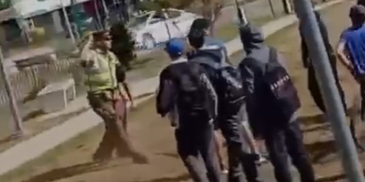 Declaran alerta roja en Los Sauces y Lumaco y más de 4 mil hectáreas se han consumido en el Biobío