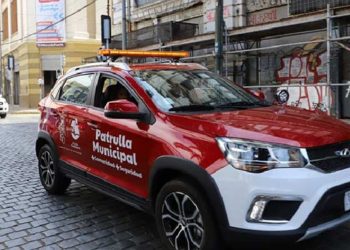 Declaran alerta roja en Los Sauces y Lumaco y más de 4 mil hectáreas se han consumido en el Biobío