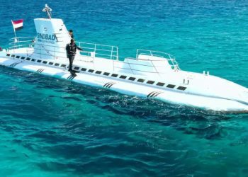 Cofundador de La Sonora de Tommy Rey anuncia el término de la banda tras la muerte del líder