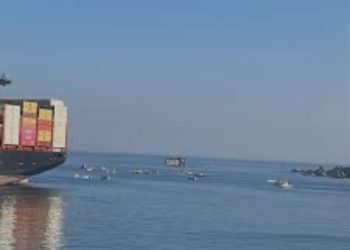 Cofundador de La Sonora de Tommy Rey anuncia el término de la banda tras la muerte del líder