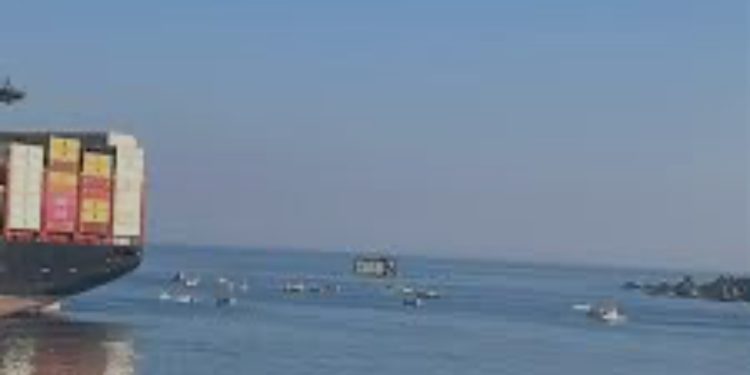 Cofundador de La Sonora de Tommy Rey anuncia el término de la banda tras la muerte del líder