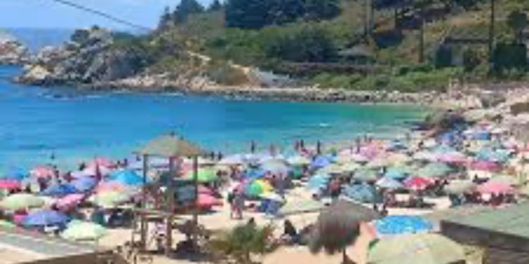 Partido Socialista proclama a Carolina Tohá (PPD) como su candidata presidencial