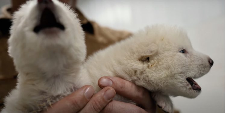 Corte Suprema ratifica desafuero de Catalina Pérez y Fiscalía pide fecha para formalización