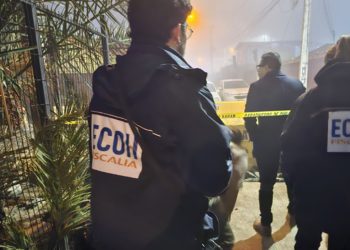 USM avanza en aislamiento de bacterias para biorremediación de sitios contaminados