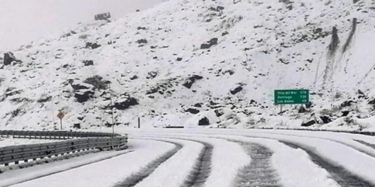 SHOA descarta tsunami en las costas chilenas tras sismo 5.0 en Rapa Nui