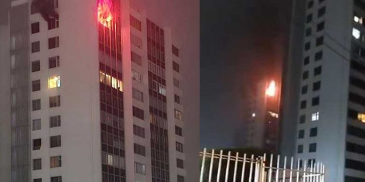 Gobernador Rodrigo Mundaca no descarta candidatura presidencial