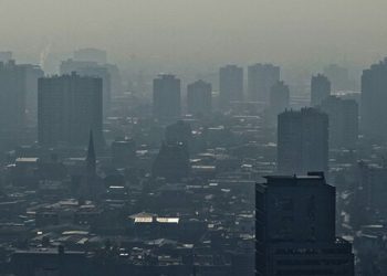 El buen trato al final de la vida