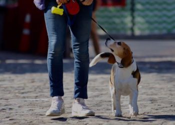 Corte Suprema de Argentina confirma condena a Cristina Fernández de seis años de prisión