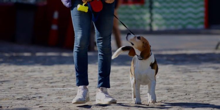 Corte Suprema de Argentina confirma condena a Cristina Fernández de seis años de prisión