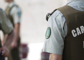 Perro ingresó a sala de clases y mordió a cuatro estudiantes en Limache