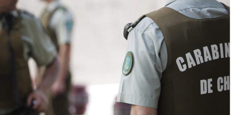 Perro ingresó a sala de clases y mordió a cuatro estudiantes en Limache