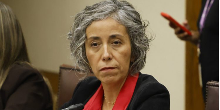 Perro ingresó a sala de clases y mordió a cuatro estudiantes en Limache