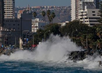 Pablo Milad asumió responsabilidad por fracaso en las Clasificatorias al mundial