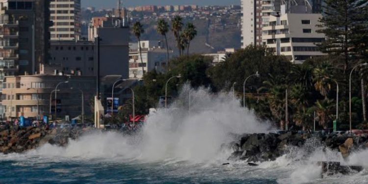 Pablo Milad asumió responsabilidad por fracaso en las Clasificatorias al mundial