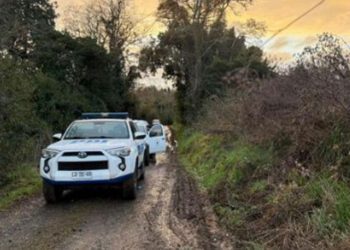 Wanderers mira el ascenso tras goleada aplastante por 5-1 a Cobreloa