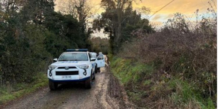 Wanderers mira el ascenso tras goleada aplastante por 5-1 a Cobreloa