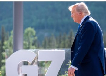 Familia chilena inspira a miles de inmigrantes desde Miami con serie en redes sociales