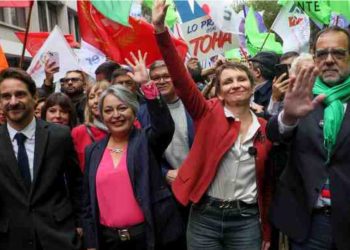 Más de 3.000 perros se espera estilizar desde agosto en Valparaíso