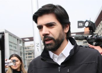 Más de 3.000 perros se espera estilizar desde agosto en Valparaíso